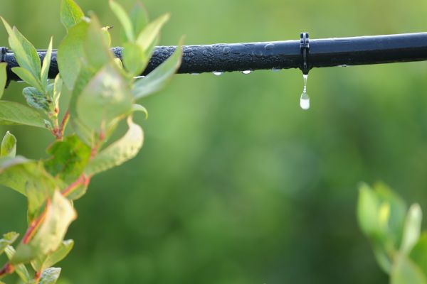 Irrigation Hose Repair - Irrigation Hose Repair Ocala, Florida