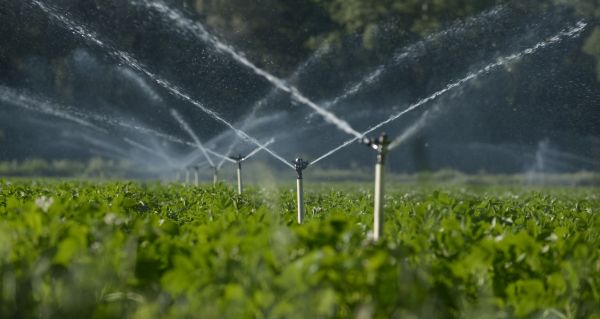 Lawn Irrigation Repair