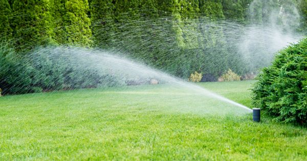 Yard Irrigation