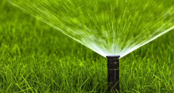 Sprinkler Head Adjustment