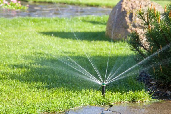 Yard Watering Service - Yard Watering Service Allen, Texas