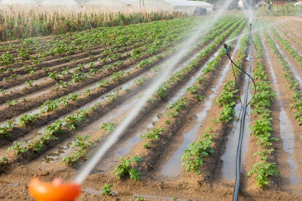 Farm Irrigation Installation