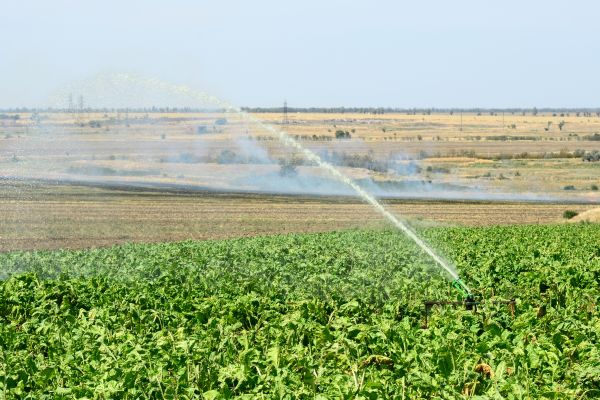 Crop Irrigation Installation